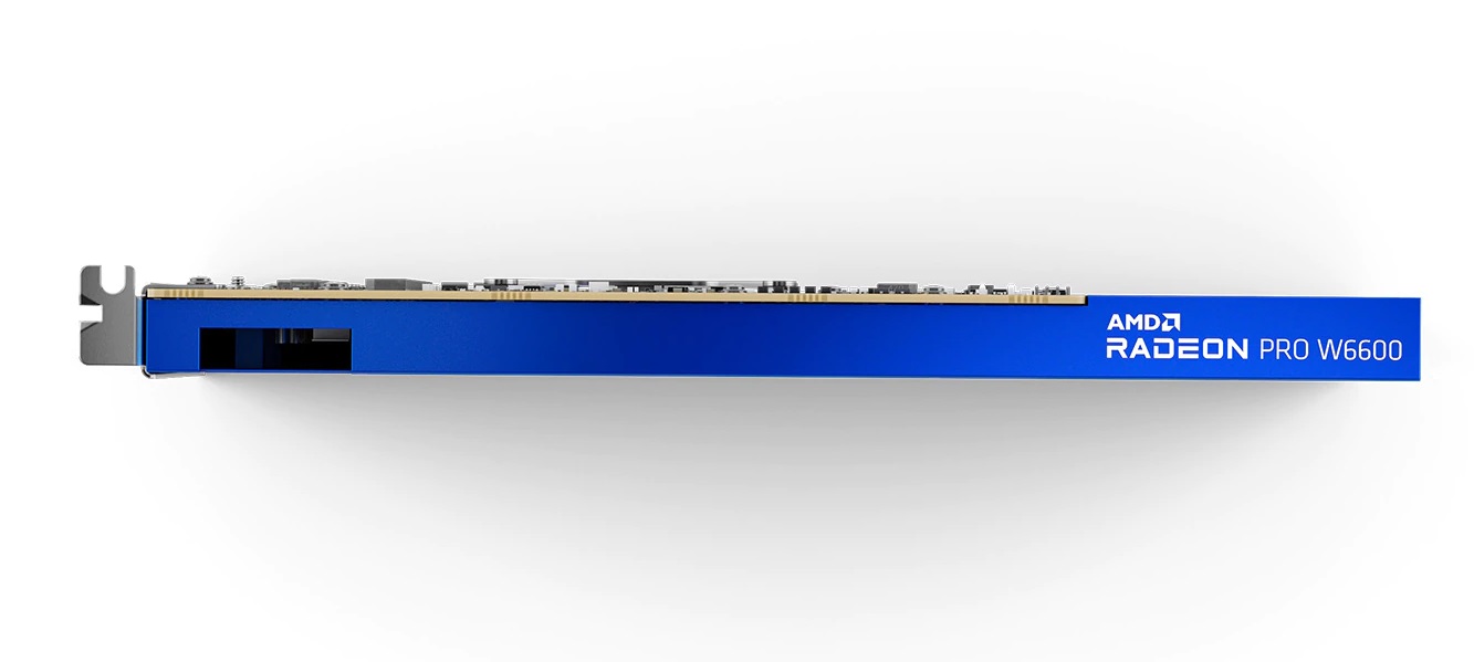 AMD Radeon Pro W6600